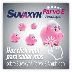 Suvaxyn Parvo Amphigen