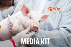 Vet and Horses - Photo Gallery Button