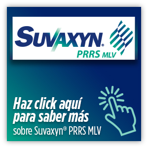Suvaxyn PRRS MLV