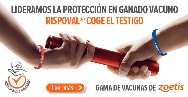 LIDERAMOS LA PROTECCI&Oacute;N EN GANADO VACUNO